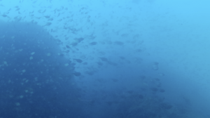 洞窟探検！＠雲見[2]