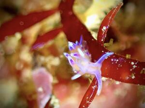 大晦日はみんなで＾＾[1]