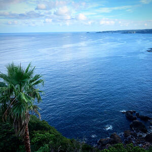 ダイブマスター誕生！！＠雲見[1]