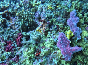 冬まっしぐら！＠雲見[3]