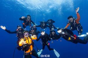 2026 mikomoto reservation information.[2]