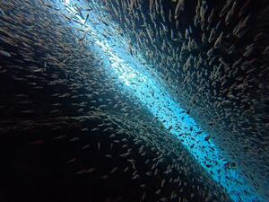 初めての洞窟へ！＠雲見