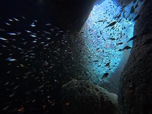 冬まっしぐら！＠雲見[2]