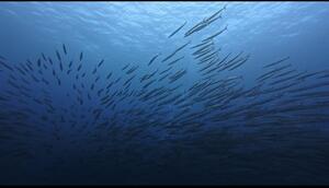 久米島到着！[2]