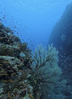 久米島到着！[3]