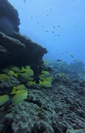 久米島からです！[3]