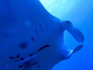 ご到着@久米島[3]