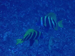 年末連休スタート！＠雲見[3]