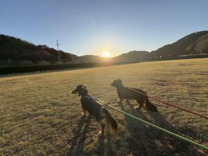 リホーム中のダイバーズ！