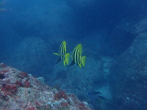 初めての洞窟へ！＠雲見[2]