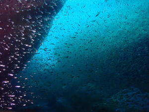 AOW合格！@雲見[1]