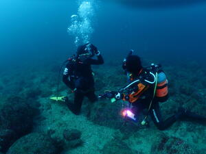 AOW合格！@雲見[4]