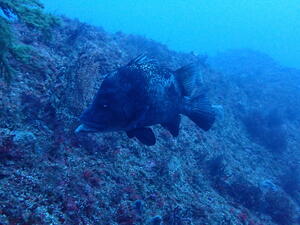 いよいよ今年も残り2日ですね。＠雲見[3]