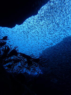 いよいよ今年も残り2日ですね。＠雲見[1]