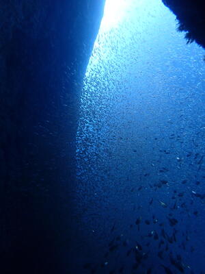 いよいよ今年も残り2日ですね。＠雲見[2]