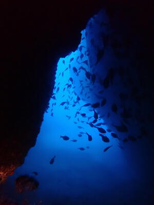 いよいよ今年も残り2日ですね。＠雲見[4]