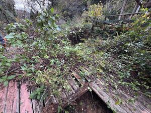 ペンション　リノベーション！＠雲見[1]