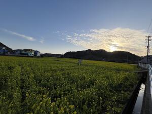 下田へ遊びに来てください。[2]