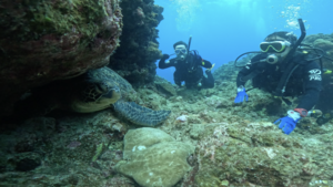 マンタ遠征！＠石垣島