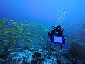 モルジブツアー6日目！[1]