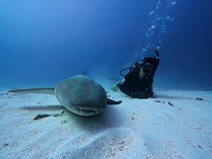 モルジブツアー6日目！[2]