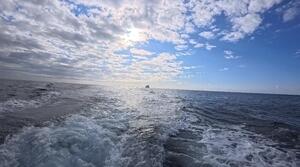 久米島から！[1]