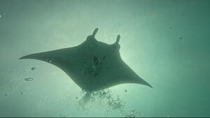 モルジブツアー初日！！[2]