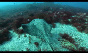 リクエストにお答えして！！[6]