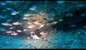 リクエストにお答えして！！[3]