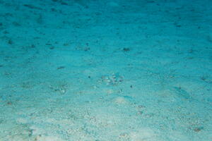 モルティブツアー２日目！！！[4]