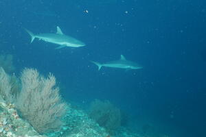 モルティブツアー２日目！！！[3]