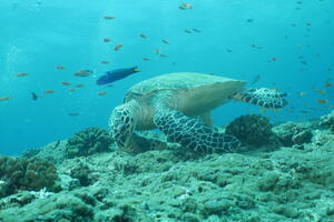 モルティブツアー２日目！！！[2]