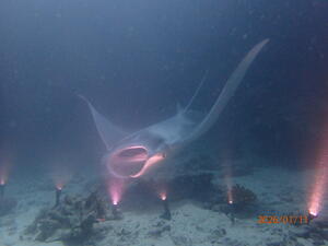 モルジブツアー初日！！[4]