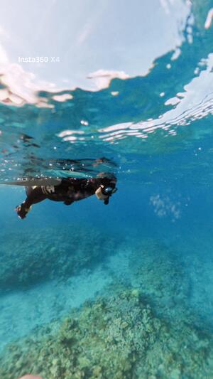 シュノーケリングデイ！＠石垣島[2]