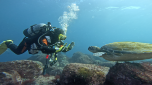 伊豆海洋公園（IOP)に行って来ました。[2]