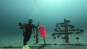 伊豆海洋公園（IOP)に行って来ました。[1]