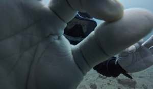 謹賀新年！！＠雲見[4]