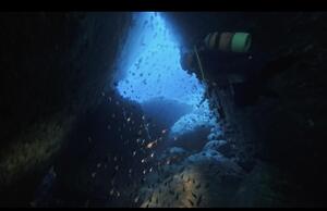 ダイビング日和！＠雲見[2]