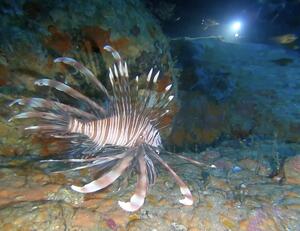 お知らせもあり！＠雲見