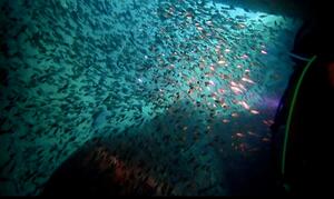 お知らせもあり！＠雲見[5]