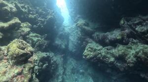 石垣島から！[2]