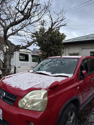 南伊豆でも雪が。。。