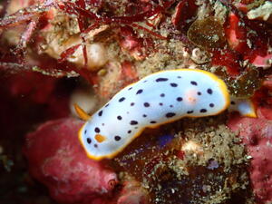 久しぶりの田子へ！[4]