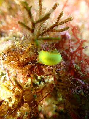 久しぶりの田子へ！[3]