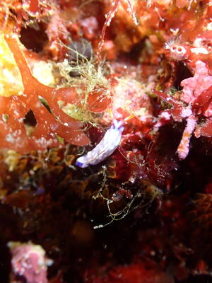 久しぶりの田子へ！[5]