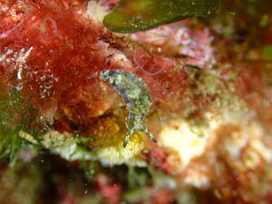 久しぶりの田子へ！[2]