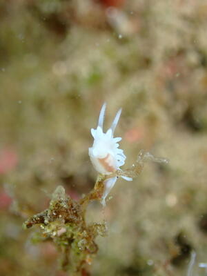 久しぶりの田子へ！[6]