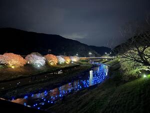 キラキラー！＠下田ダイバーズ[1]