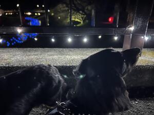 キラキラー！＠下田ダイバーズ[3]