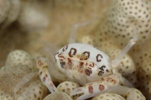 お知らせもあり！＠雲見[3]